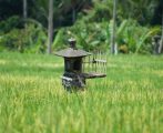 Daftar Rainan Sepanjang Bulan September 2023, Ada Aggarakasih Tambir