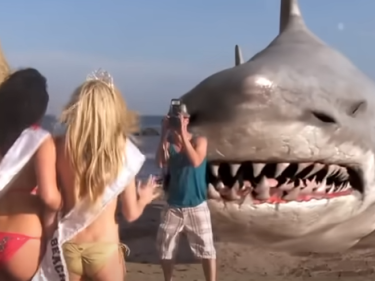 rekomendasi film hollywood bertema ikan hiu