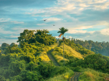 3 tempat yang wajib kalian kunjungi jika sedang berada di Ubud, Bali.