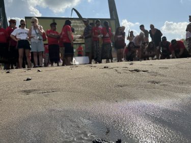 Rayakan Hari Jadi Ke-7, Swarga Suites Angkat Konsep Tri Hita Karana