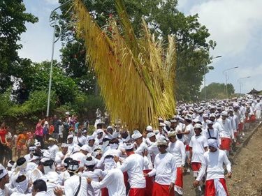 tradisi ngusaba bukakak di desa Giri Emas Buleleng