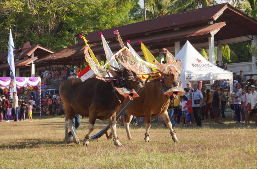 Hari Baik untuk Memulai Beternak di Oktober 2025: Panduan Berdasarkan Kearifan Bali