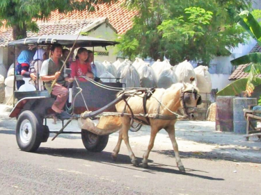 Wisata Ramah Anak di Denpasar? Yuk Coba Ajak Naik Dokar