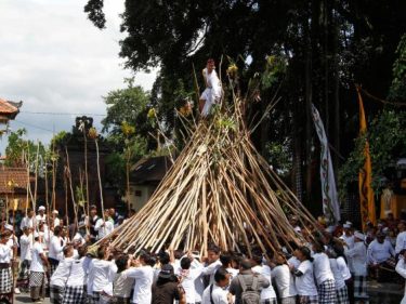 kapan dilaksanakan tradisi mekotek Tradisi Mekotek di Munggu, Ritual Keselamatan yang Sempat Dihentikan