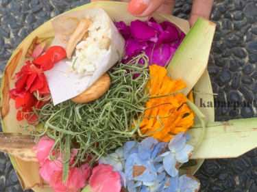 daftar rahinan bulan juni 2024 segera cek tanggalnya