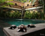 5 Rekomendasi Villa di Sekitar Ubud dengan Private Pool (Harga Rp 1-2 Juta)