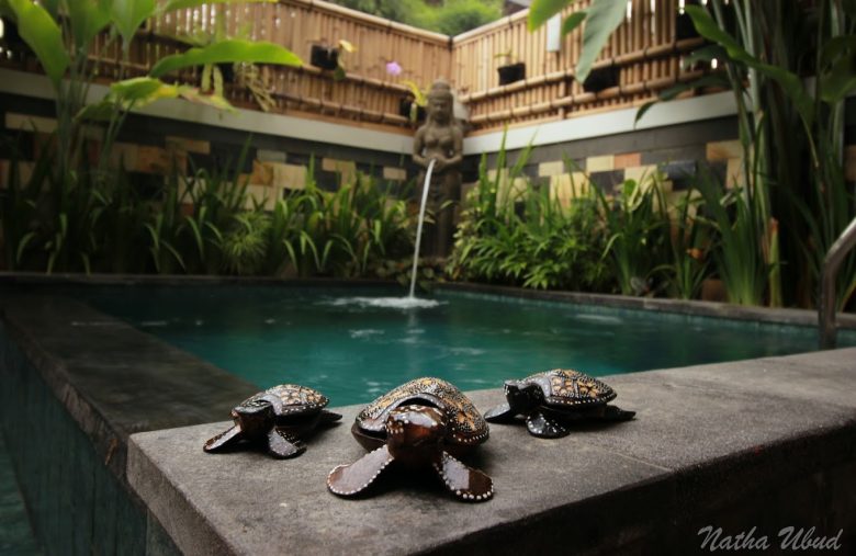 rekomendasi villa murah di ubu dekat objek wisata