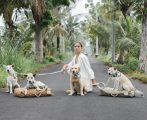 Kali Dogwear: Menyelamatkan Anjing Jalanan dan Lingkungan Indonesia