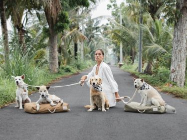 Kali Dogwear: Menyelamatkan Anjing Jalanan dan Lingkungan Indonesia