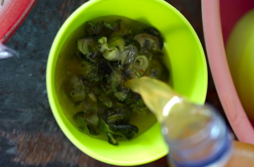 Tidak Hanya Jepang, Bali Juga Punya “Sushi” Bernama Rujak Batu Batu