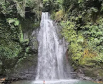 Menyejukkan, Ini 5 Air Terjun di Ubud, Liburan Semakin Sempurna
