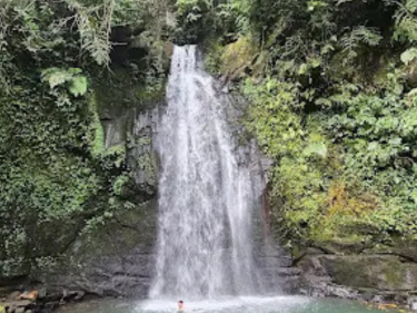 Air Terjun Petanu gianyar menjadi salah satu tempat wisata yang wajib dikunjungi