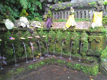 Pesona Pura Beji Saraswati