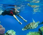 Snorkeling bisa menjadi pilihan untuk liburan akhir tahun di bali