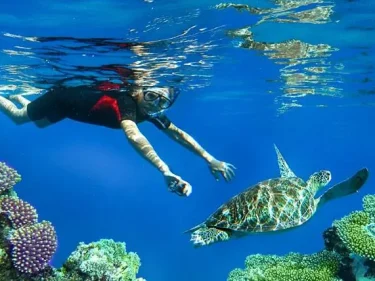 Snorkeling bisa menjadi pilihan untuk liburan akhir tahun di bali