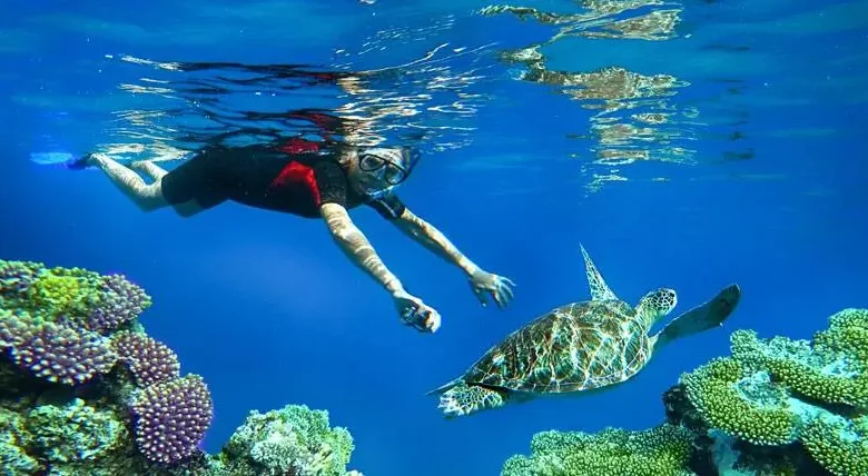 Snorkeling bisa menjadi pilihan untuk liburan akhir tahun di bali