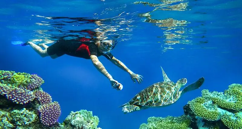 Snorkeling di Karangasem Yuk? Ini Pantai yang Wajib Dijajal