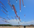 Denpasar Kite Festival 2025: Merayakan Budaya Bali di Langit Sanur