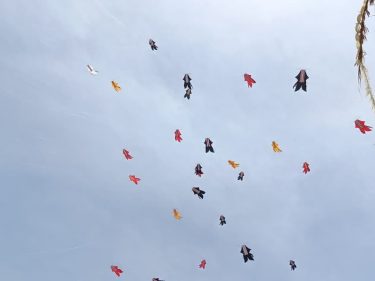 Denpasar Kite Festival 2025 Resmi Bergulir di Pantai Mertasari