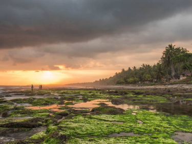 rekomendasi pantai di jembrana bali yang wjaib dikunjungi