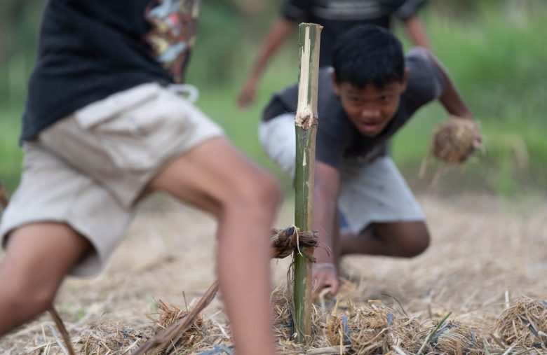 Sawah Riuh Tawa: Festival ke Uma V Tabanan Hidupkan Kembali Permainan Tradisional