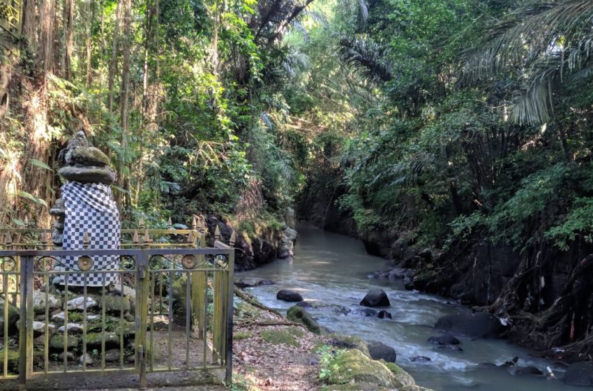 Pura Beji Waringin Pitu: Oase Pembersihan Diri di Tepi Tukad Penet, Badung